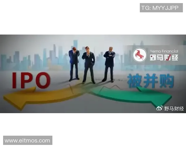 上海极限运动队逆风翻盘的背后故事与未来展望