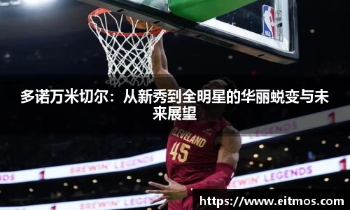 多诺万米切尔：从新秀到全明星的华丽蜕变与未来展望